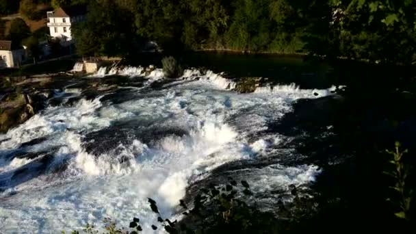 Zicht op de waterval rivier paradijs in het forest. Uitzicht vanaf de top. — Stockvideo