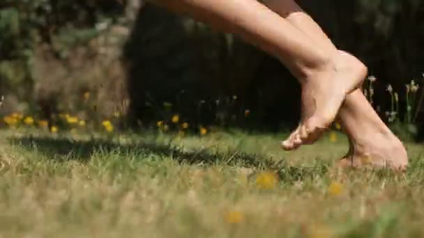 Giovani donne felici che corrono in campo, in erba verde. Close up gambe incrociate femminili che corrono sull'erba . — Video Stock