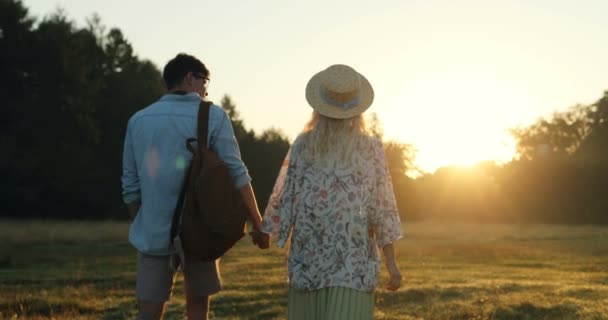 Задняя часть молодой счастливой женщины и мужчины, идущие рука об руку на закате в живописной долине в качестве туристов. Вид сзади . — стоковое видео