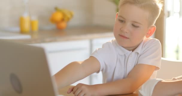 Kind bloggen in internet, geconcentreerde jongen met laptop thuis. Portret van gelukkig jongetje binding met de computer. Slimme jongen werkt op een laptop voor zijn nieuwe project. — Stockvideo