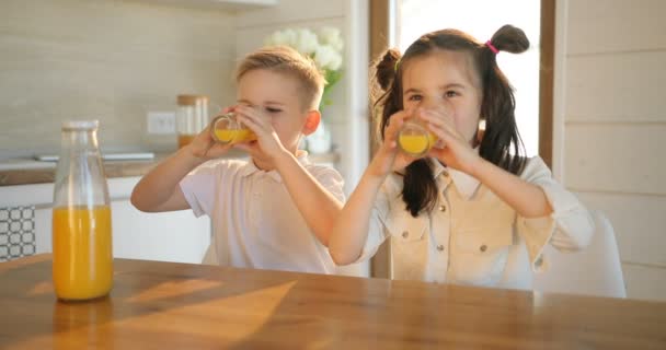 Una hermosa chica y un chico bebiendo jugo fresco en casa. Niños bebiendo jugoso batido. Concepto de vida saludable, espacio de copia . — Vídeos de Stock