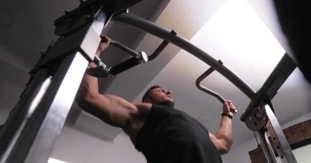 Primer plano de atractiva joven adulta haciendo pull-ups en el gimnasio. Entrenamiento deportivo masculino Concepto de deporte y fitness. Ejercicio de entrenamiento . — Vídeo de stock