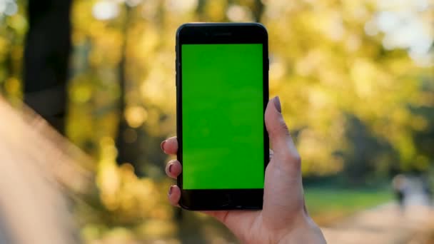 Vrouwelijke hand met smartphone met groen scherm. Meisje met behulp van mobiele telefoon tijdens het wandelen in de herfst park. Achteraanzicht geschoten. Chromakey, close-up van de hand van de vrouw met telefoon met verticale groen scherm. — Stockvideo