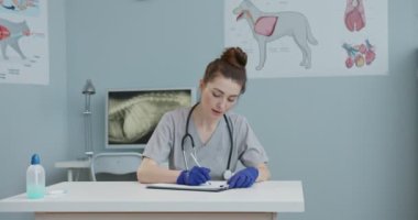 Veteriner hastahanede otururken, elinde belgelerle dosyalar tutarken, teşhis yazarken. Steteskoplu ve mavi eldivenli bir kız. Hayvan bakımı, veterinerlik, sağlıklı hayvanlar..