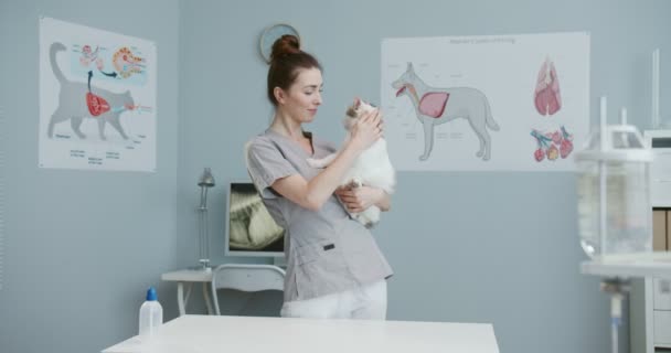 Joven hermosa mujer veterinaria sosteniendo lindo gato peludo en brazos después del examen en la clínica veterinaria. Veterinaria de pie en traje médico. Concepto cuidado de mascotas, veterinaria, animales sanos . — Vídeos de Stock