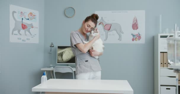 Veteriner kliniğinde muayene olduktan sonra kediyi kollarına alan kadın veteriner planı. Veteriner kediyi okşar, ona sarılır ve okşar. Evcil hayvan bakımı, veterinerlik, sağlıklı hayvanlar. — Stok video