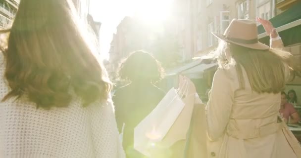 Hátul a változatos, többnemzetiségű nők napsütésben a szabadban. Gyönyörű kaukázusi lány kalapban sétál az utcán a városban. Afrikai amerikai nő sétál a városban, és tart bevásárló táskák. A vevő fogalma — Stock videók