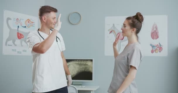 Médecins du milieu de plan donnant haut cinq et croisant les bras sur la poitrine. Médecins vétérinaires masculins et féminins avec stéthoscope autour du cou et des lunettes regardant à la caméra. Concept animaux de compagnie soins, vétérinaire. — Video