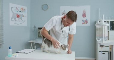 Veterinerlerin randevusundaki korkmuş kedi planının ortasında muayene masasında dikilip kokluyorlar. Erkek veterinerin kediyi okşaması ve sakinleştirmesi muayeneye başlaması için. Hayvan bakımı ve veterinerlik kavramı.
