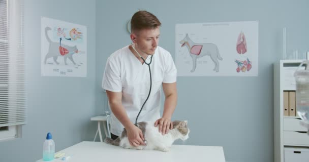Plano medio del veterinario masculino comprobando gato con estetoscopio. Médico veterano acariciando mascota. Hombre Hansome trabajando en el hospital en traje médico. Concepto de cuidado de mascotas, veterinaria, animales sanos. — Vídeos de Stock