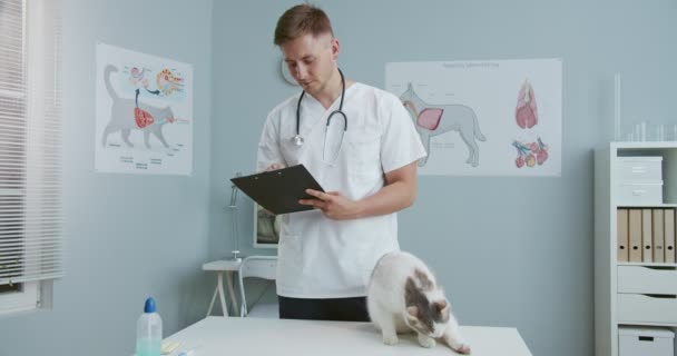 Środkowy plan męskiego weterynarza stojącego w szpitalu podczas pisania dokumentów diagnozuje i szuka kota. Kot myje się siedząc na stole do badań weterynaryjnych. — Wideo stockowe