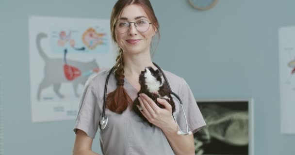 Środek planu kobieta weterynarz gospodarstwa świnki morskiej czeka na właściciela po badaniu w klinice weterynaryjnej. Vet stojący w kombinezonie medycznym w okularach i stetoskopie. Koncepcja opieki nad zwierzętami, weterynarii. — Wideo stockowe