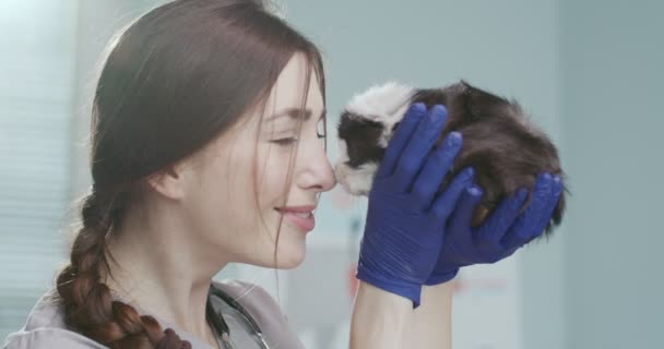 Detailní záběr ženského veterinárního lékaře s rukavicemi, které drží chlupaté morče, hladí ho a dívá se do kamery. Veterinář v lékařském obleku se stetoskopem. Pojetí péče o zvířata, veterinární. — Stock video