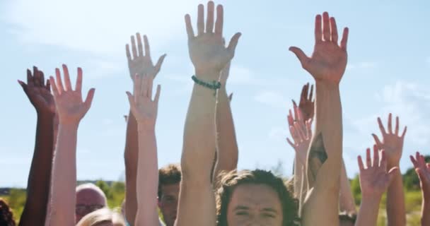 En entusiastisk frivilligorganisation som bryr sig om miljöförstöring. De glada frivilliga, vänner som sträcker upp händerna mot himlen. Wellness, naturskydd. — Stockvideo