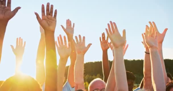 Gros plan de bénévoles mains de races mixtes et d'âges différents. Un groupe de militants écologistes heureux levant les mains vers le ciel. Amitié, travail d'équipe, concept de bénévolat. — Video