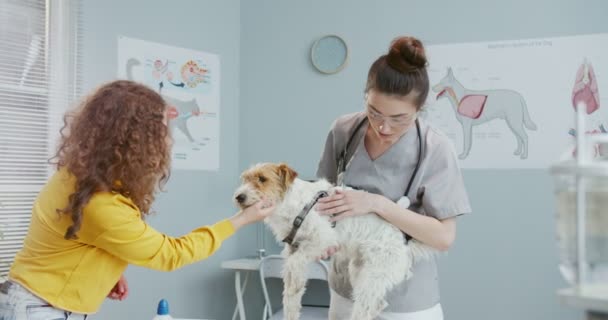 Ägare av hund, vacker lockig flicka i gul tröja, håller husdjur vid läkare tid på veterinärkliniken. Hund står på undersökningsbordet medan kvinnlig veterinär i form med statoskop undersöker det. — Stockvideo