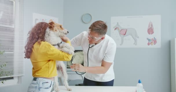 Rencana tengah perempuan dokter hewan memeriksa kucing dengan stetoskop sementara pemilik anjing cantik keriting gadis di sweter kuning memegang hewan peliharaan di dokter janji di klinik dokter hewan. — Stok Video