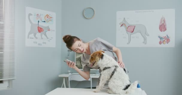 Kvinna veterinär bär medicinsk kostym talar på videosamtal på telefon medan hund försöker fly från veterinärer undersökningsbord i veterinär klinik. Begreppet sällskapsdjur vård, veterinär, friska djur. — Stockvideo