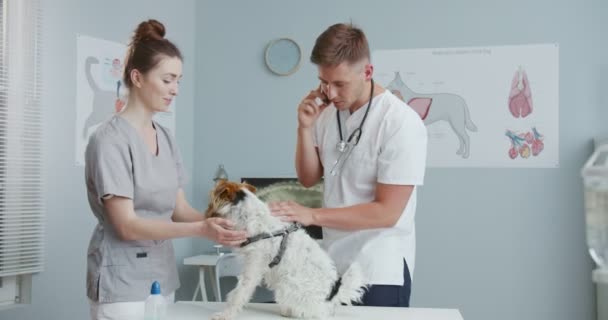 Средний план человека ветеринар в медицинском костюме со стетоскопом говорит по телефону, разговаривая, пока собака сидит на ветеринарном столе. Женщина-помощник ветеринара помогает. Концепция командной работы. — стоковое видео