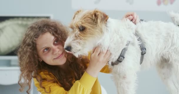 Primer plano feliz dueño del perro, hermosa chica rizada en suéter amarillo, la celebración de mascotas en la cita con los médicos en la clínica veterinaria. El perro está en la mesa de examen. Concepto de cuidado de mascotas, veterinario. — Vídeo de stock