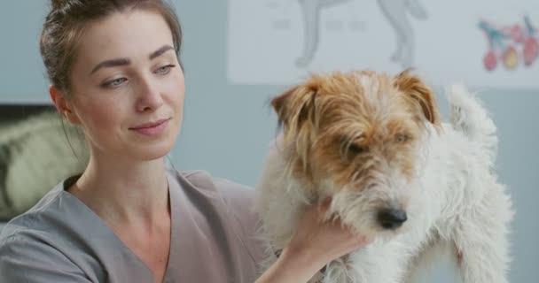 Zbliż portret kobiety weterynarii trzymającej psa czekającej na właściciela po badaniu w klinice weterynaryjnej. Weterynarz w kombinezonie medycznym. Koncepcja opieki nad zwierzętami domowymi, weterynaryjne, zdrowe zwierzęta. — Wideo stockowe