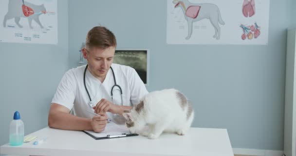 Zbliżenie weterynarza siedzącego przy biurku w klinice weterynaryjnej i zaczynającego wypełniać dokumenty, zapisując diagnozę, podczas gdy kot rozprasza go, wącha teczkę papierami. — Wideo stockowe