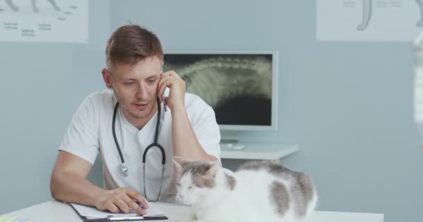 Mężczyzna weterynarii siedzi w szpitalu głaskając kota, rozmawiając przez telefon. Mężczyzna w stroju medycznym ze stetoskopem rozmawiający o smartfonie i dokumentach. Pojęcie opieki nad zwierzętami domowymi, weterynaria. — Wideo stockowe