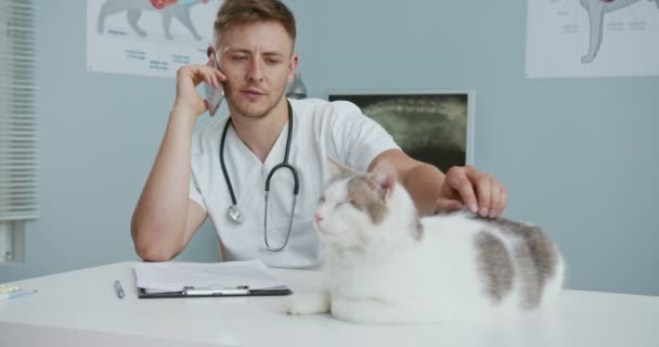 Az állatorvosi vizsgálóasztalon heverő macska közelsége. Férfi állatorvos orvosi egyenruha simogató macska közben beszélgetés okostelefonon. A kedvtelésből tartott állatok gondozásának fogalma, állatorvosi, egészséges állatok. — Stock videók