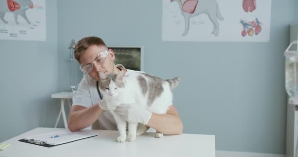 Zbliżenie męskiego lekarza weterynarii siedzącego w szpitalu głaskającego kota. Mężczyzna w stroju medycznym ze stetoskopem, okularami i rękawiczkami badający zwierzaka. Pojęcie opieki nad zwierzętami domowymi, weterynaria. — Wideo stockowe