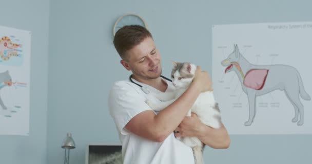 Plan intermédiaire de l'homme vétérinaire tenant le chat dans les bras après animal de compagnie examiné à la clinique vétérinaire. Le vétérinaire caresse le chat, le serre dans ses bras et le caresse. Concept de soins pour animaux, vétérinaire, animaux en bonne santé. — Video