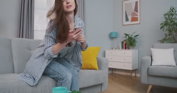 Hezká kavkazská šťastná mladá žena sedící na kočáře v útulném obývacím pokoji a píšící na smartphone uvnitř. Krásná dívka v dobré náladě procházení na mobilním telefonu doma. Koncept volného času — Stock video