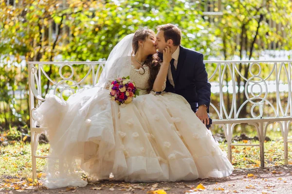 Recém-casados caminham no parque e posam para um fotógrafo — Fotografia de Stock