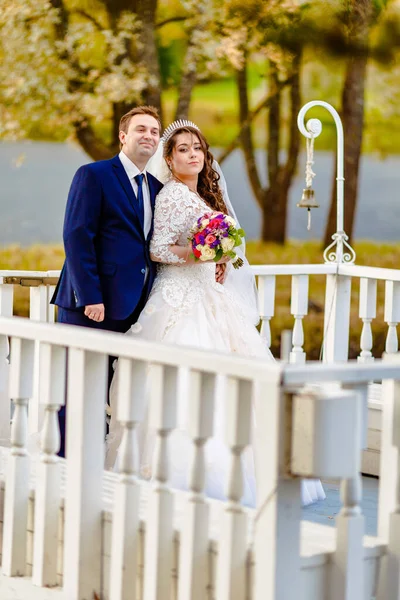 Nygifta Promenader Parken Och Posera För Fotograf — Stockfoto