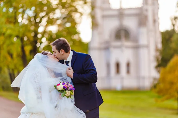 Recém-casados caminham no parque e posam para um fotógrafo — Fotografia de Stock
