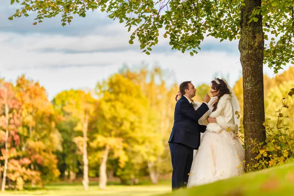 Recém-casados caminham no parque e posam para um fotógrafo — Fotografia de Stock