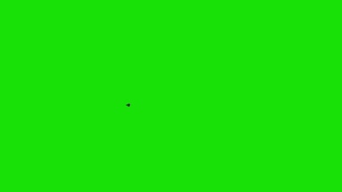 Beyaz köpekbalığı yüzgeci okyanus dairesel yeşil ekran 3d render animasyonlar