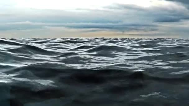 White Shark Nadar Círculo Océano Movimiento Cámara Renderizado Animaciones — Vídeo de stock