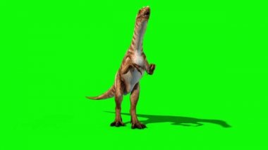 Baryonyx dinozorlar açık yeşil ekran 3d animasyon Jurassic döngü işleme saldırı