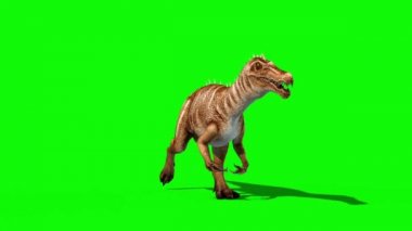 Baryonyx dinozorlar Runcycle açık yeşil ekran 3d render animasyon Jurassic döngü