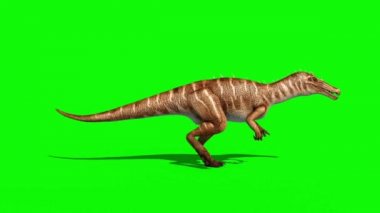 Baryonyx dinozorlar Walkcycle yan yeşil ekran 3d render animasyon Jurassic döngü