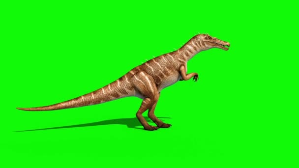Baryonyx 恐竜攻撃側緑画面 レンダリング アニメーション ジュラ紀ループ — ストック動画