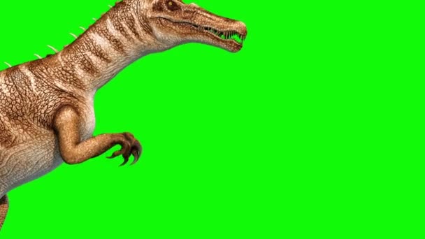 Dinossauros Baryonyx Atacam Tela Verde Renderização Animação Jurássico Loop — Vídeo de Stock