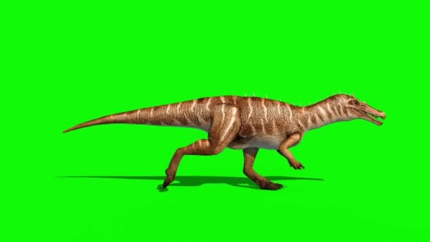 Baryonyx Dinozorlar Runcycle Yan Yeşil Ekran Render Animasyon Jurassic Döngü — Stok video