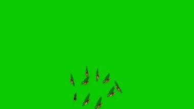 Serçe Flock Fly Yeşil Ekran Top 3d Rendering Animasyon Chroma Anahtar