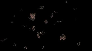 Birçok Yarasacadılar Bayramı Alpha Mat Close Ön 3d Rendering Animasyon 4k