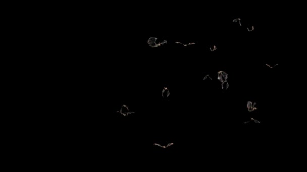 Летучая Мышь Хэллоуин Matte Loop Rendering Animation — стоковое видео
