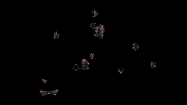 Fledermäuse Halloween Alpha Matt Close Fly Rendering Animation — Stockvideo