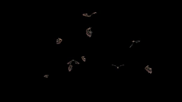 Pipistrelli Halloween Alpha Matte Loop Fly Rendering Animazione — Video Stock