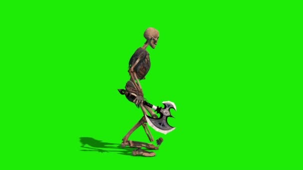 Skelett Krieger Green Screen Sterben Side Loop Rendering Animation — Stockvideo