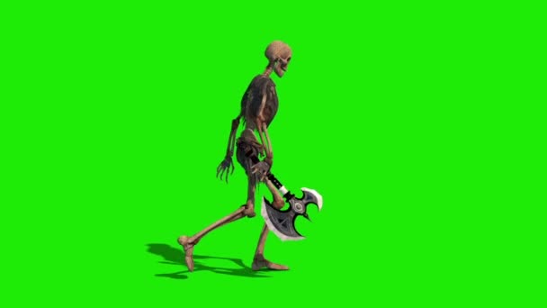 Csontváz Warrior Green Screen Walkcycle Oldalsó Hurok Rendering Animáció — Stock videók